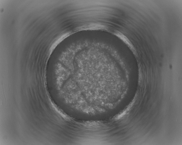 X0000060790850200512082122