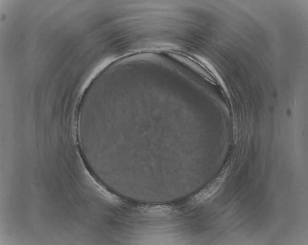 X0000060790851200512082122