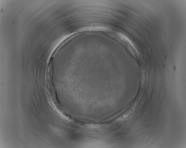 X0000060790852200512082122