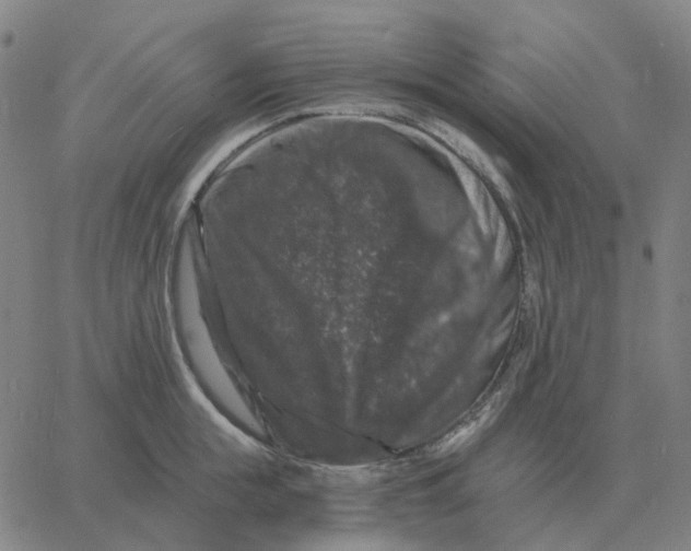 X0000060790855200512082122