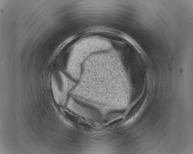 X0000060790857200512082122