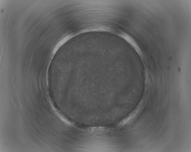 X0000060790858200512082122