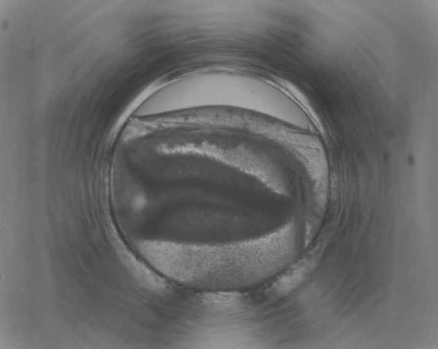 X0000060790859200512082122