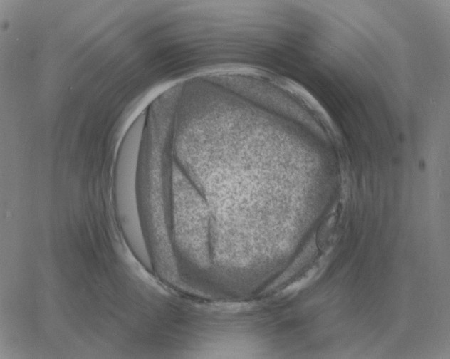 X0000060790860200512082122