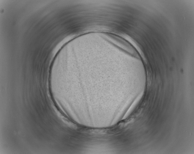 X0000060790861200512082122