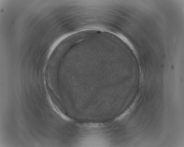 X0000060790862200512082122