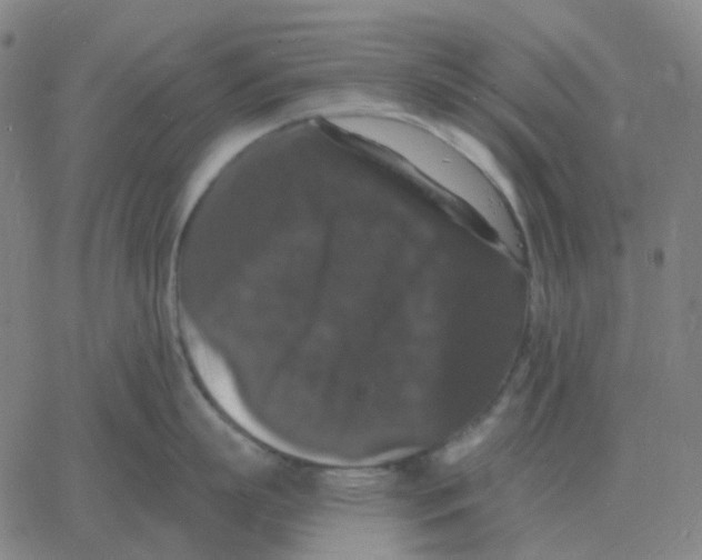 X0000060790863200512082122