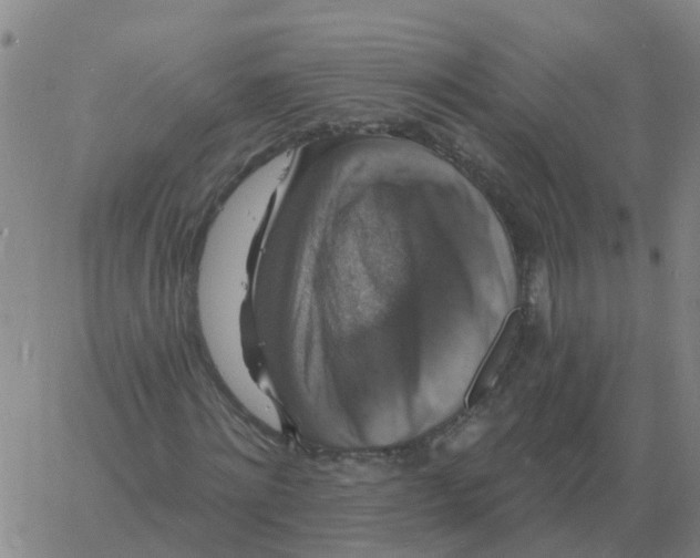 X0000060790868200512082122