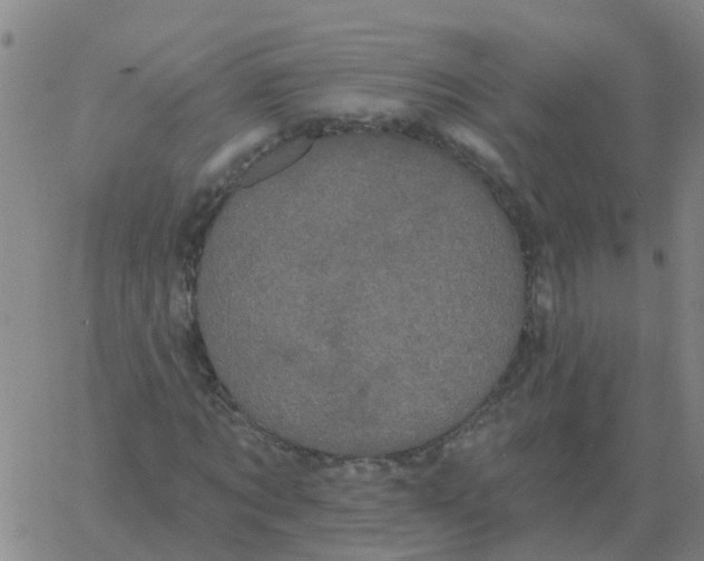 X0000060790869200512082121