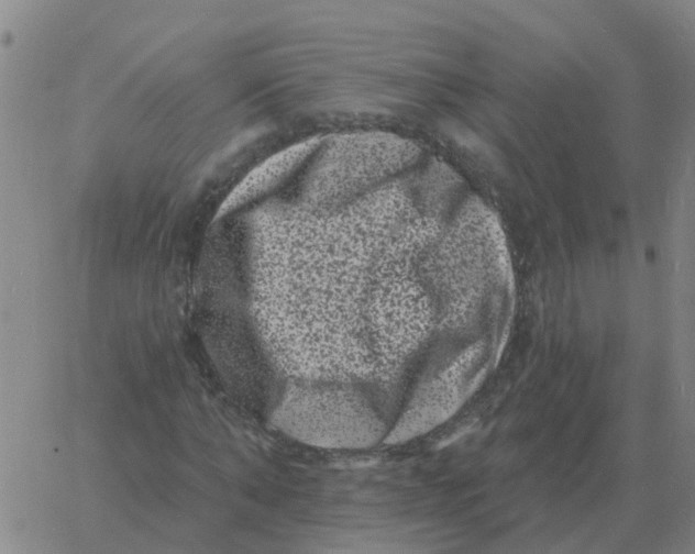 X0000060790870200512082121