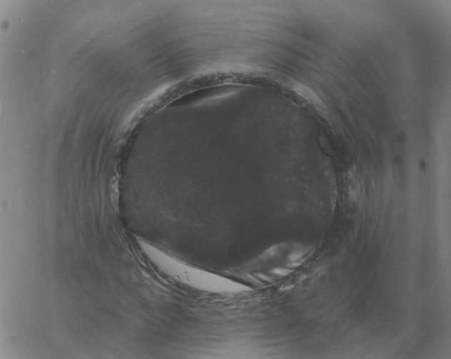 X0000060790872200512082121