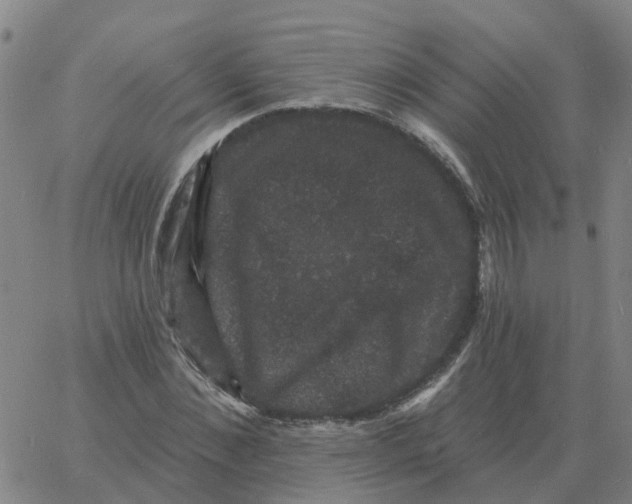 X0000060790876200512082121