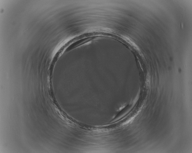 X0000060790877200512082121