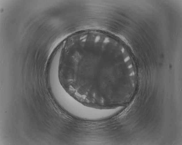 X0000060790879200512082121