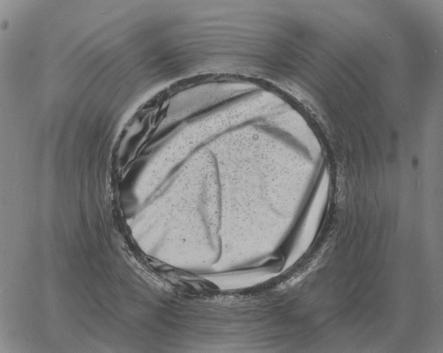 X0000060790880200512082121