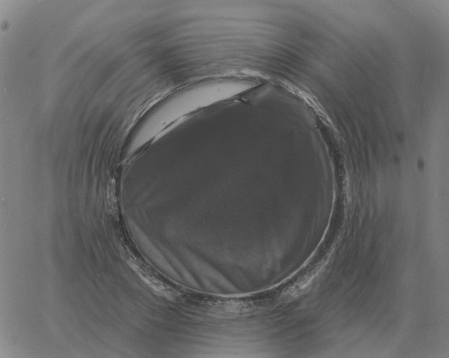 X0000060790881200512082121