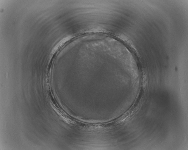 X0000060790882200512082121