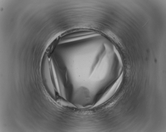 X0000060790884200512082121