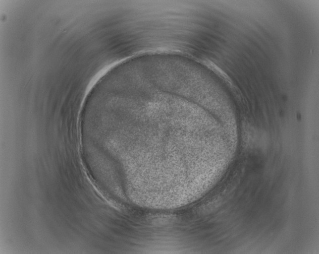 X0000060790886200512082121