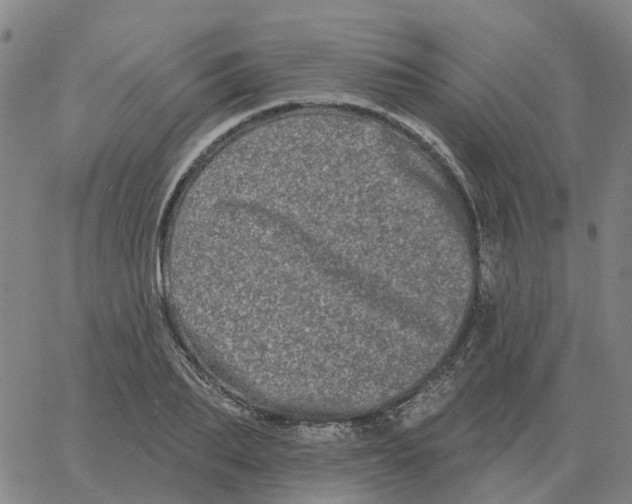 X0000060790887200512082121