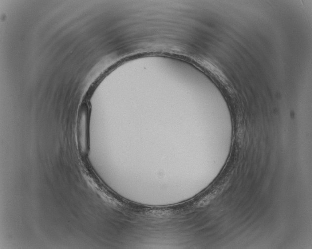 X0000060790888200512082121