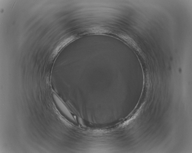 X0000060790889200512082121