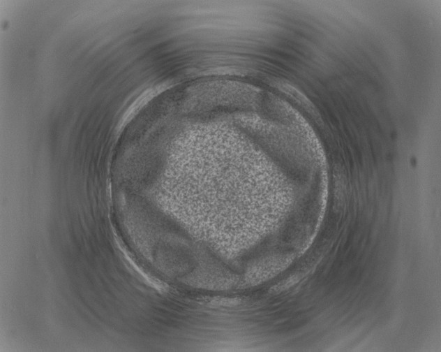 X0000060790890200512082121