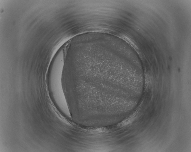 X0000060790891200512082121