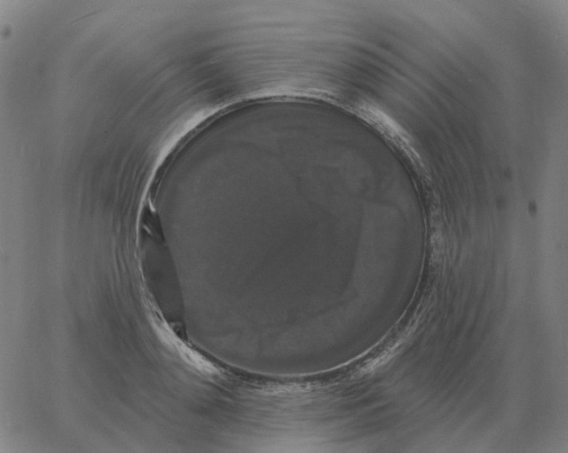 X0000060790892200512082121