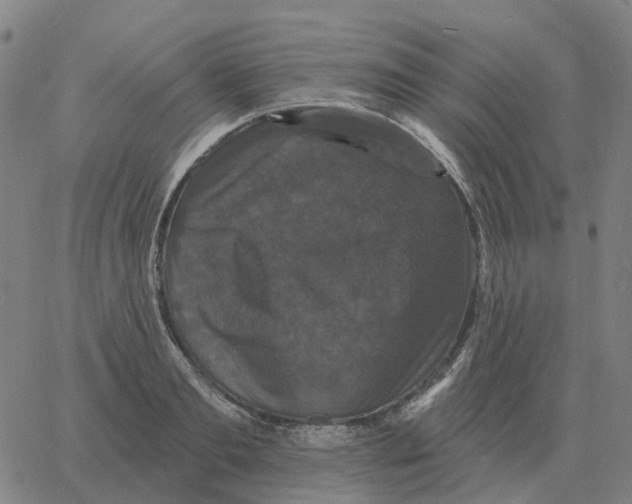 X0000060790893200512082121