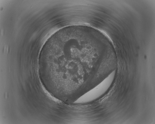 X0000060790895200512082121