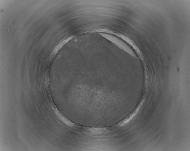 X0000060790897200512082121