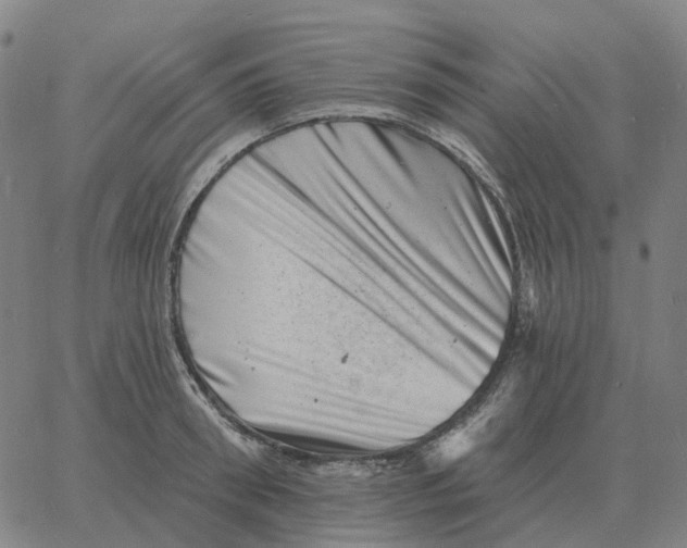 X0000060790898200512082121