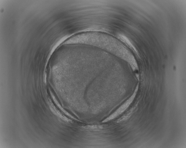 X0000060790900200512082121