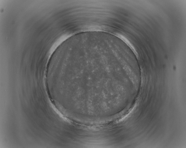 X0000060790901200512082121