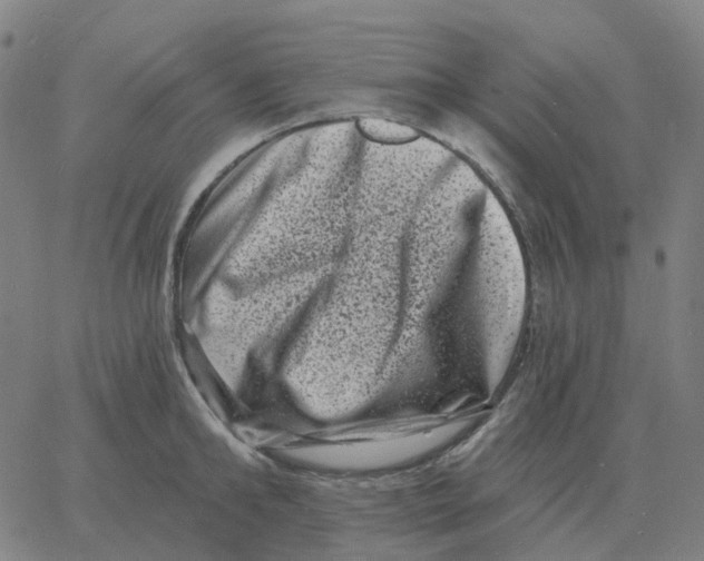 X0000060790902200512082121