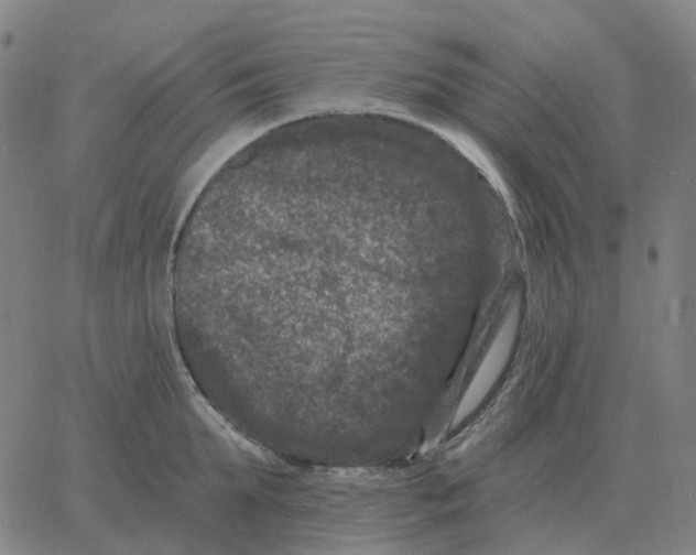 X0000060790903200512082121