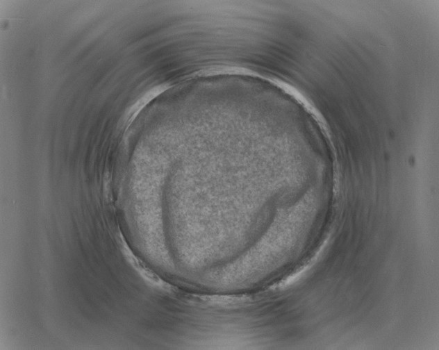 X0000060790905200512082121