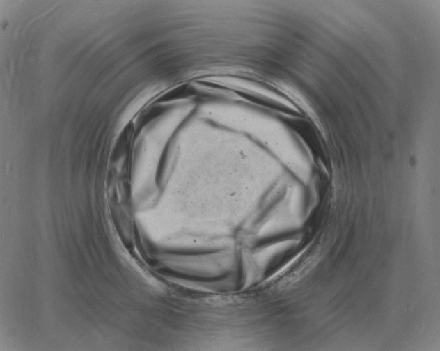 X0000060790906200512082121