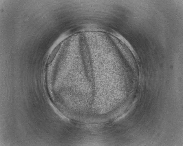 X0000060790909200512082121