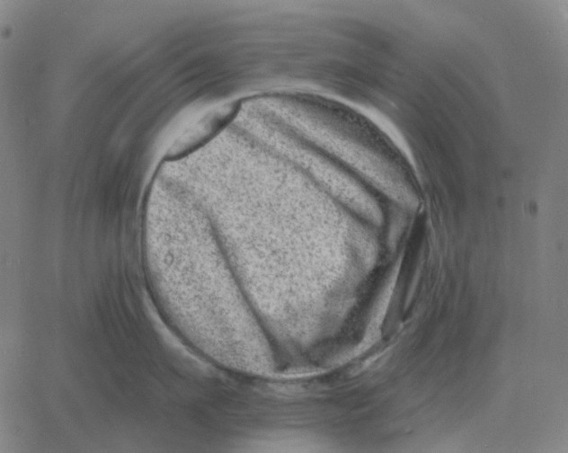 X0000060790911200512082121