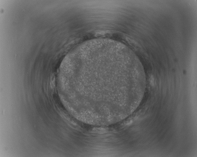 X0000060790914200512082120