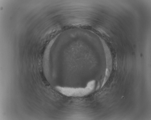 X0000060790917200512082120