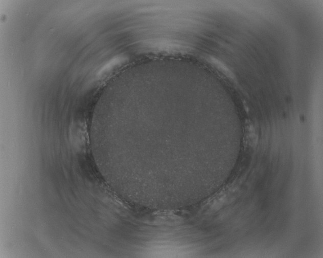 X0000060790918200512082120