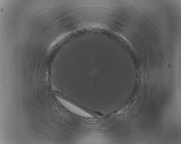 X0000060790919200512082120