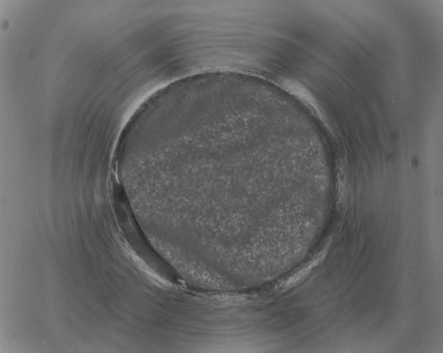 X0000060790924200512082120