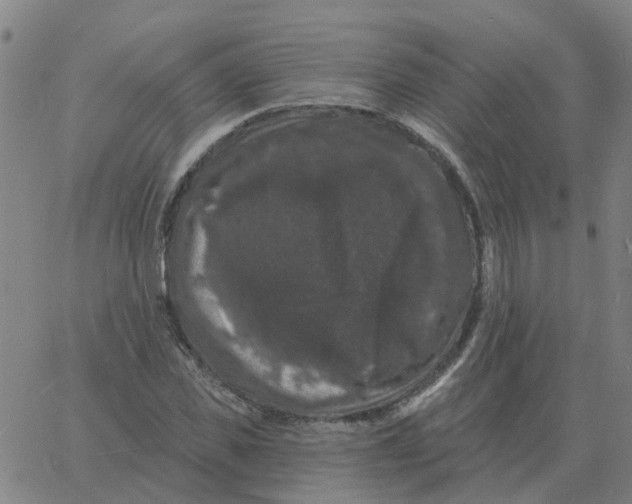 X0000060790925200512082120