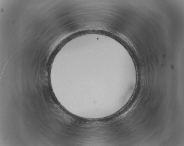 X0000060790926200512082120