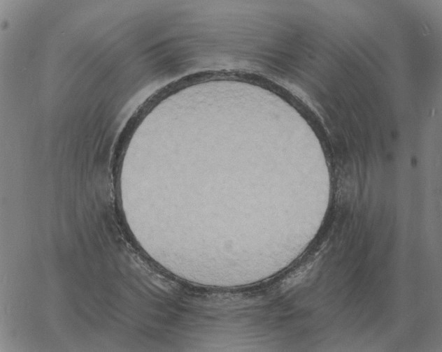 X0000060790927200512082120