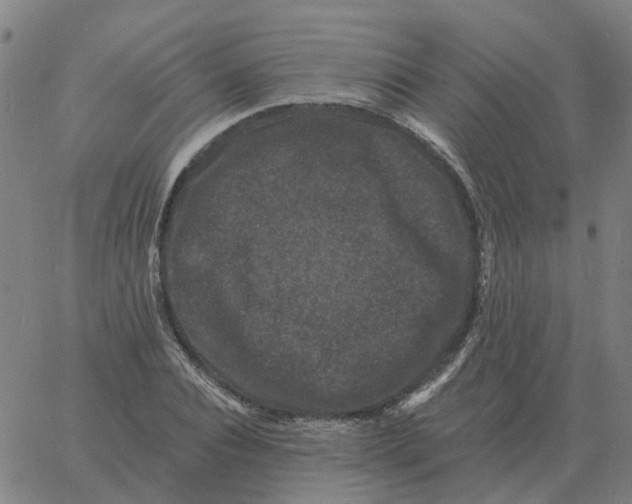 X0000060790928200512082120